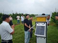 <b>吉安市举办农药科学平安利用暨柑橘黄龙病防控</b>